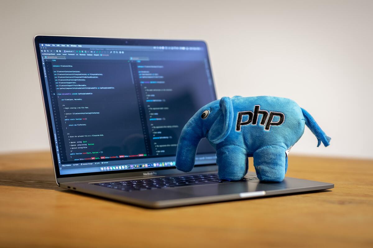 php developers