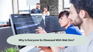 Why Is Everyone So Obsessed With Web Dev?