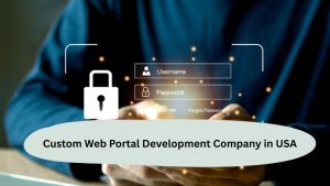 Custom Web Portal Development Company in USA