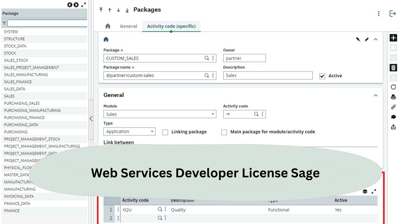 Web Services Developer License Sage​